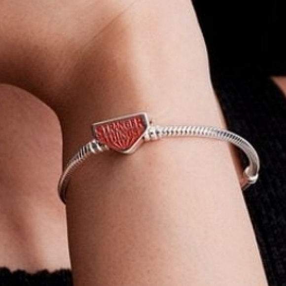 Authentic NEW Pandora Netflix Stranger Things Clasp Snake Chain Bracelet - Picture 3 of 10